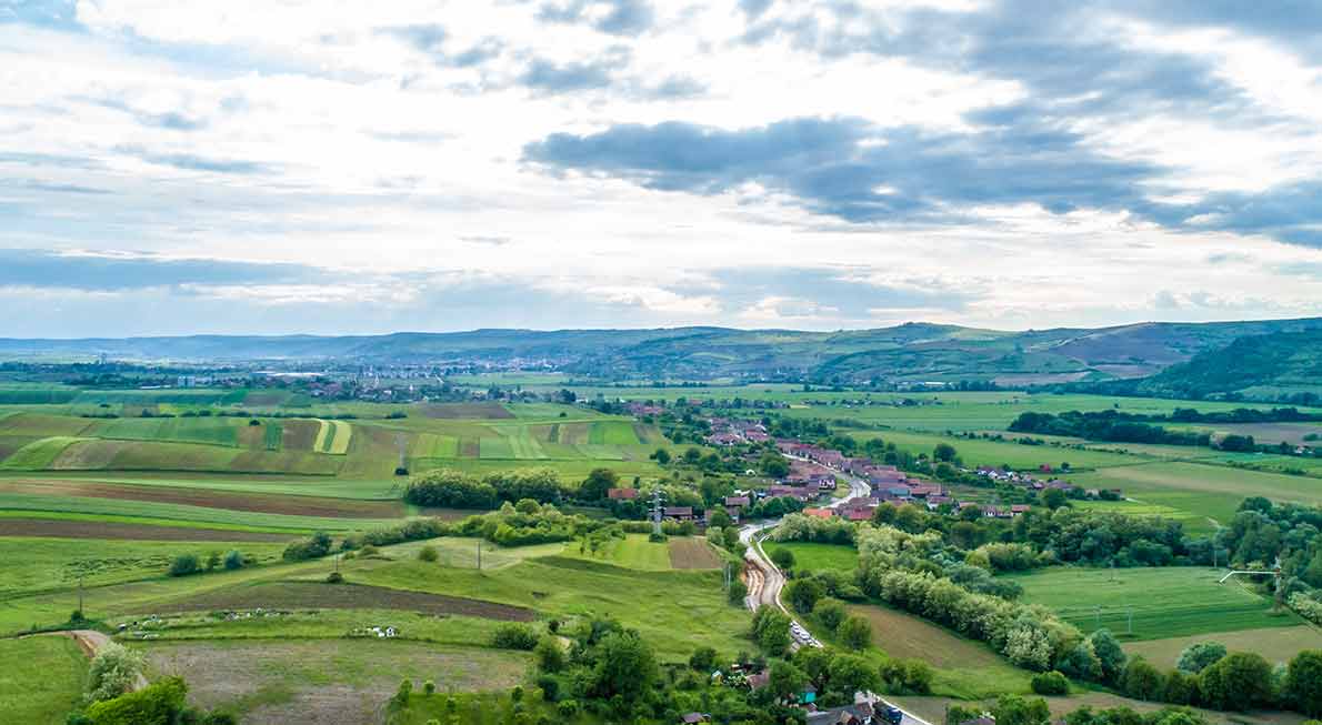 Produse gourmet organice cu beneficii nutriționale unice! – transylvanianfinestfood.ro