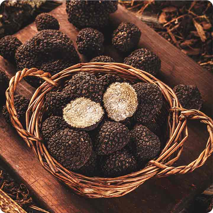 Truffles - hidden treasures