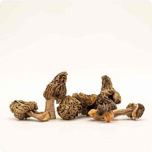 Dry mushrooms / morel mushrooms