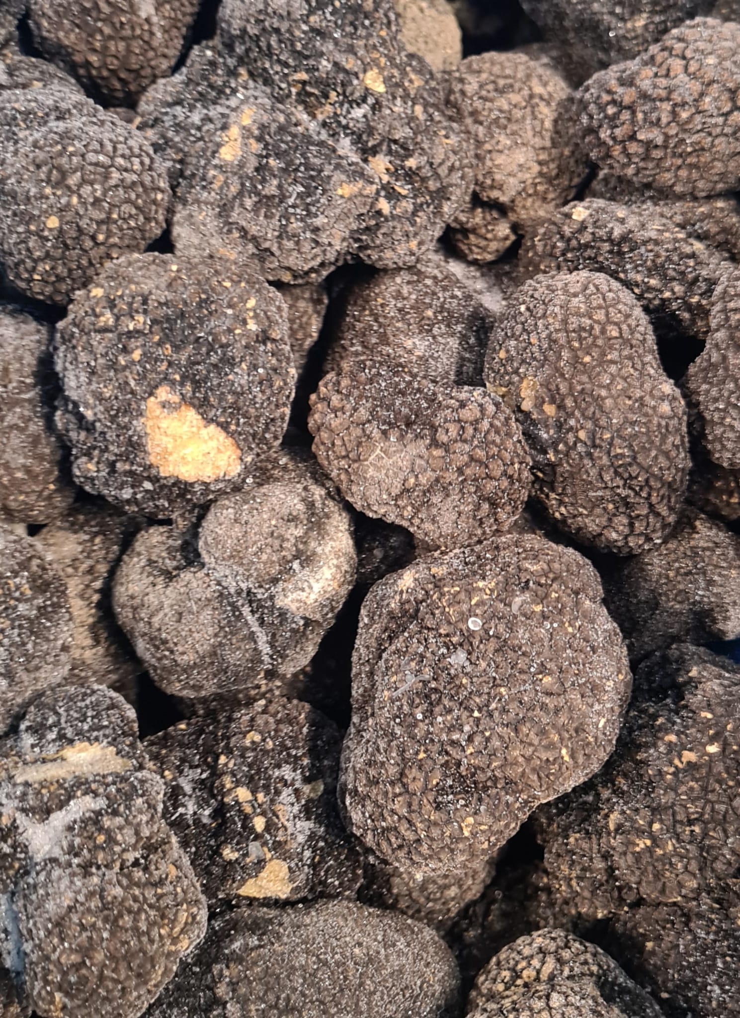 Trufe negre congelate Calitatea 2 Transylvania's Finest Foods 1kg